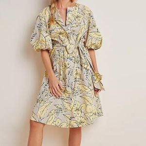 Anthropologie Josephine Puff Sleeve Midi Dress XS